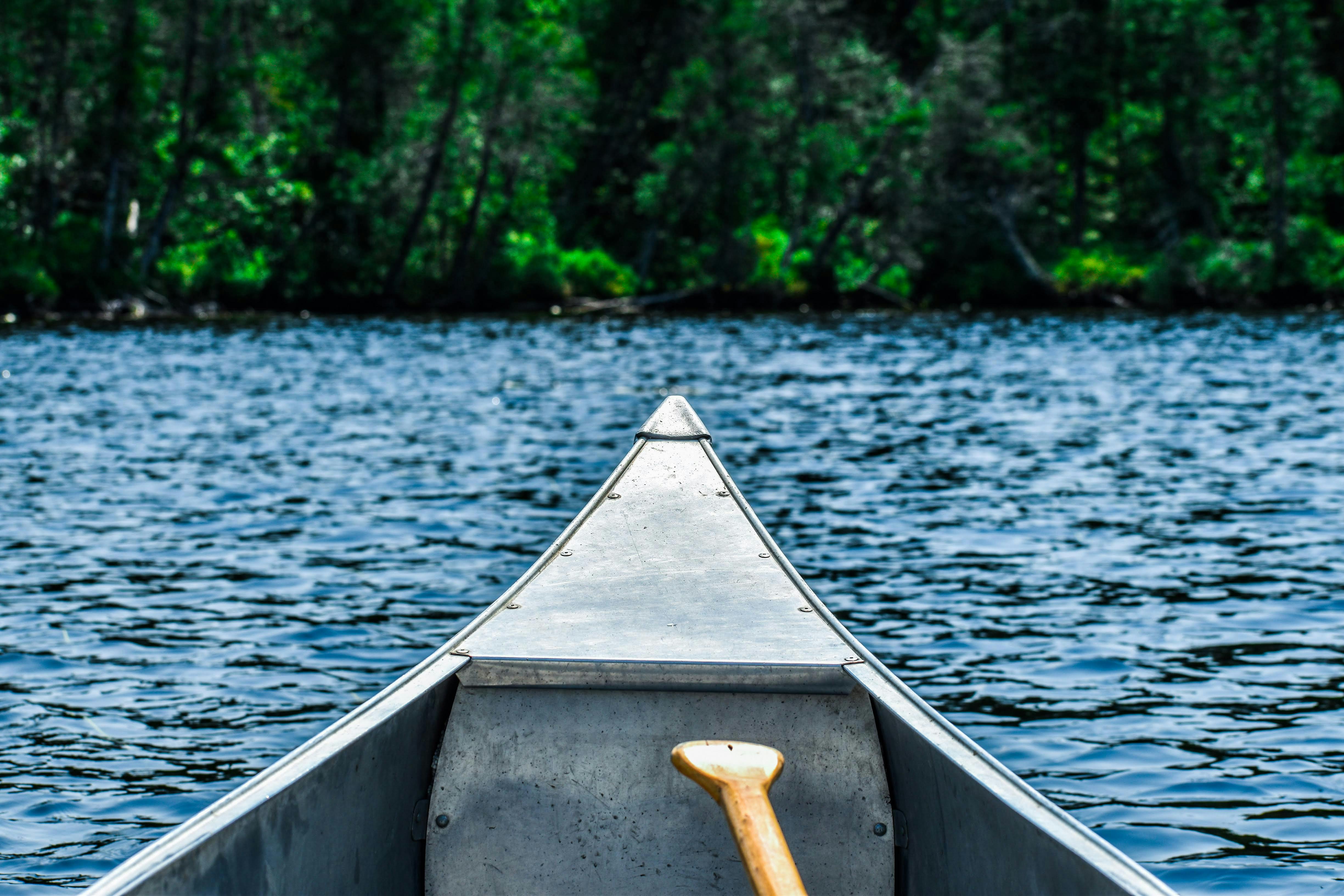 Point-of-view from inside a canoe on a forested river